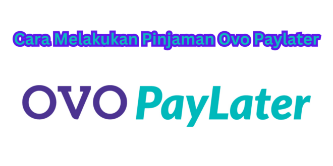 Cara Melakukan Pinjaman OVO PayLater